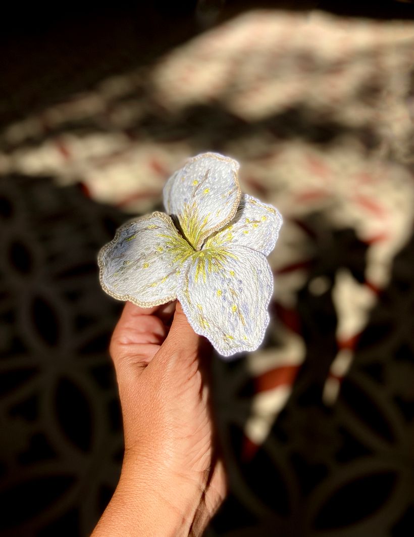 Botánica PLOP 8
