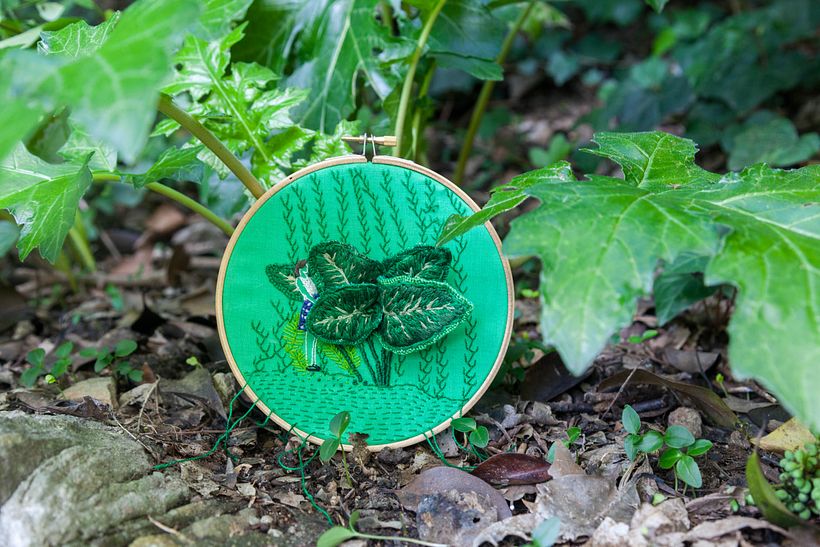 Botánica PLOP 13