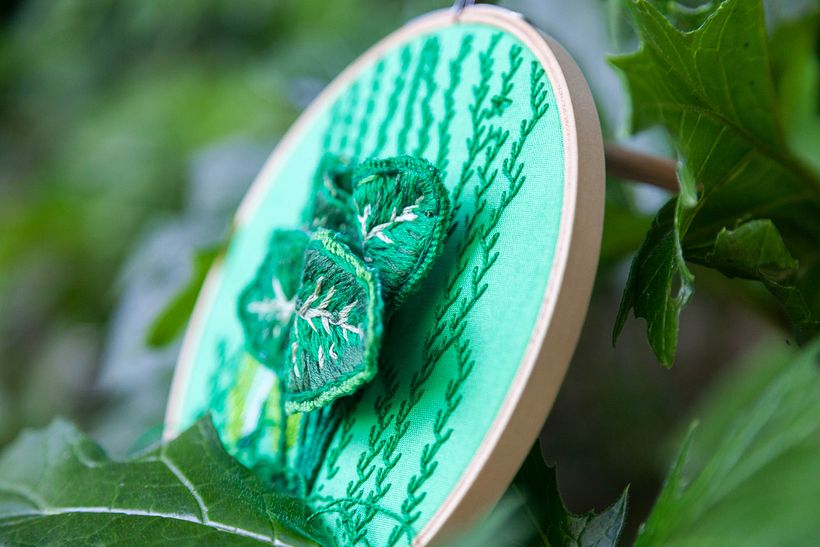 Botánica PLOP 19