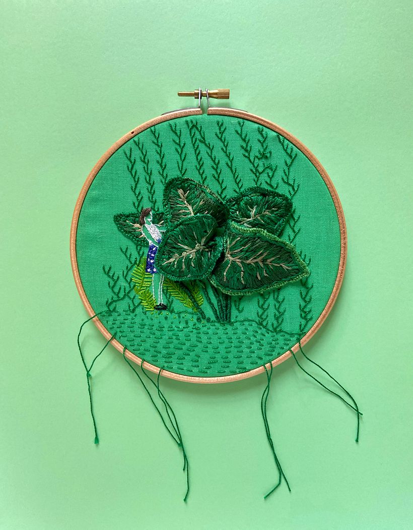 Botánica PLOP 17