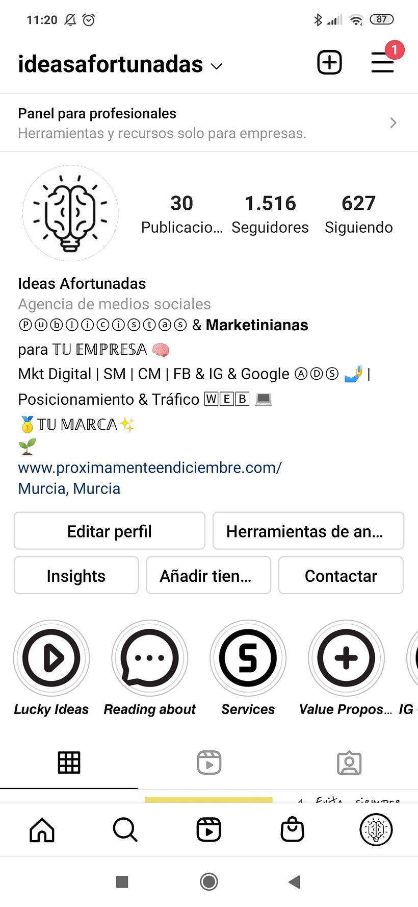 Mi Proyecto del curso: IDEAS AFORTUNADAS (publicidad consciente) 7