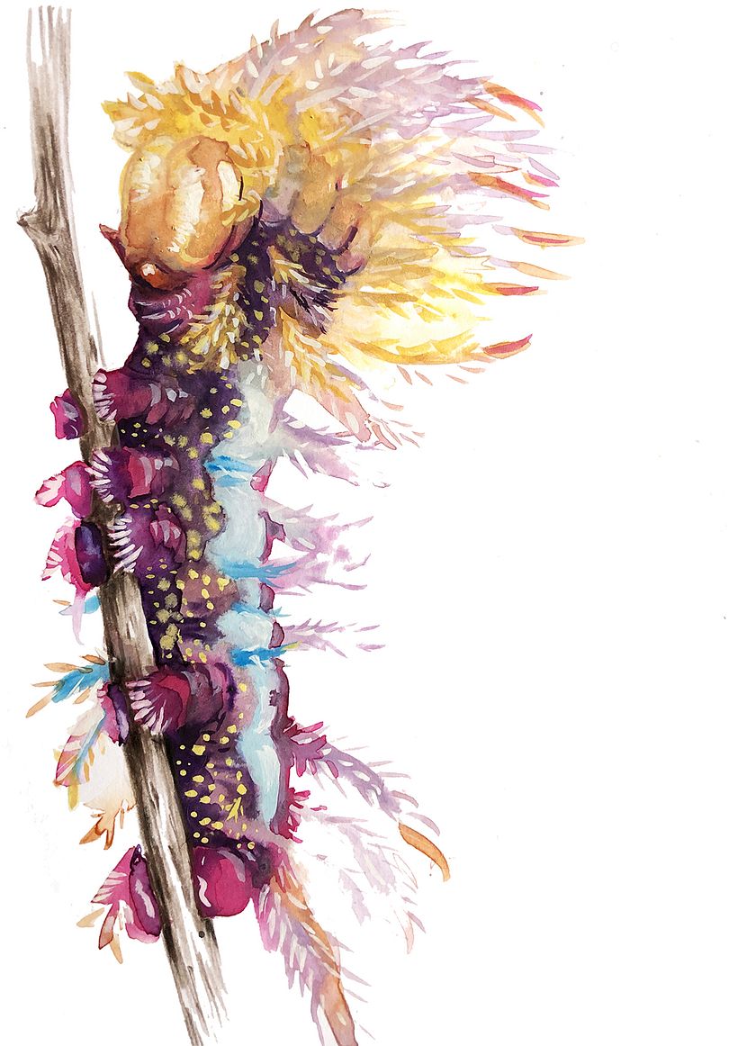 Exercice 7 - Aquarelle humide + gouache