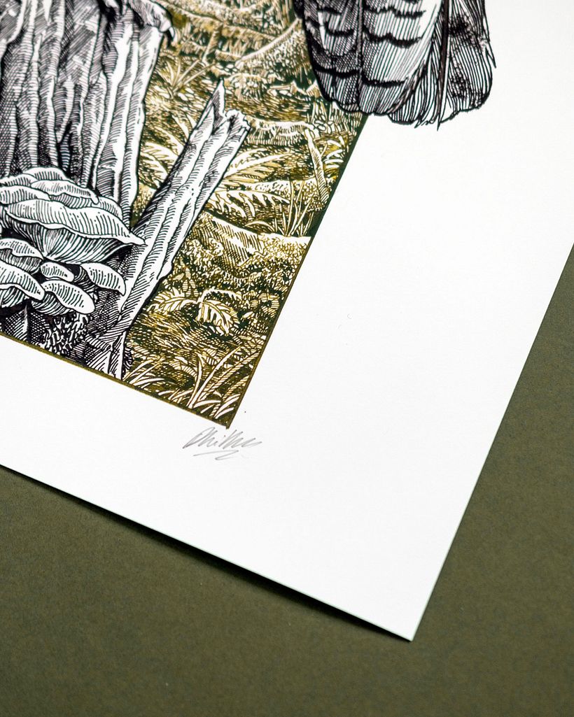 Deep in the forest- Pen and ink Drawing 6