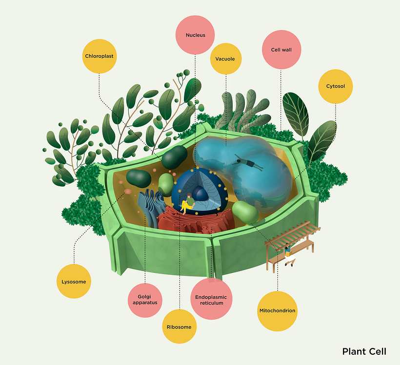 My project in Introduction to Illustrated Infographics course 3