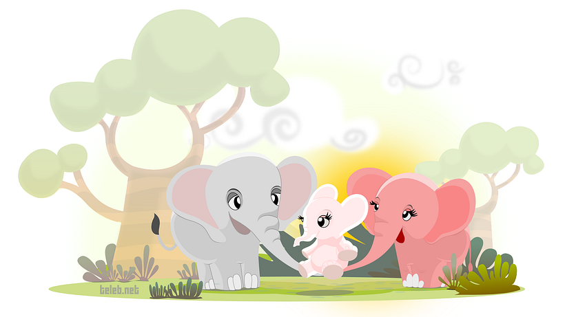 illustrations 2