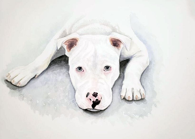 My project in Expressive Animal Portraits in Watercolor course 3