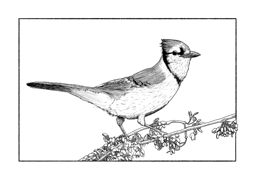 I actually made this digitally! I was more than happy to find that the techniques can be applied to digital drawings too