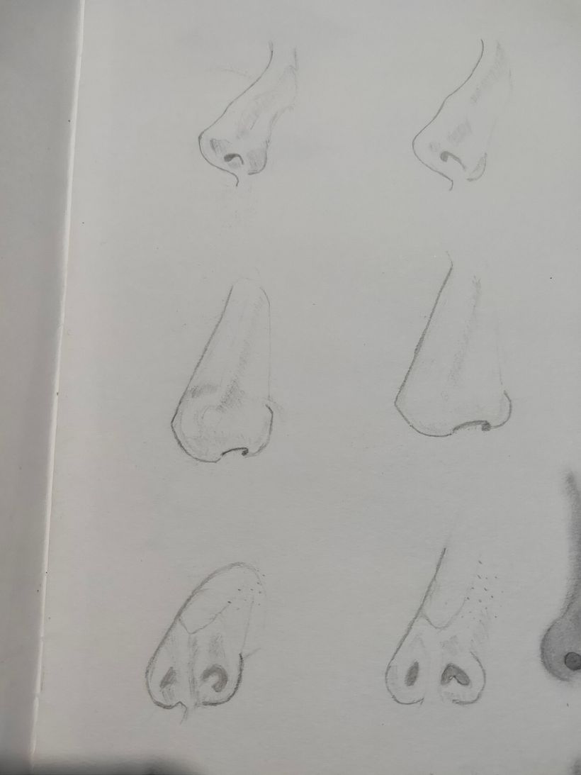 Nose