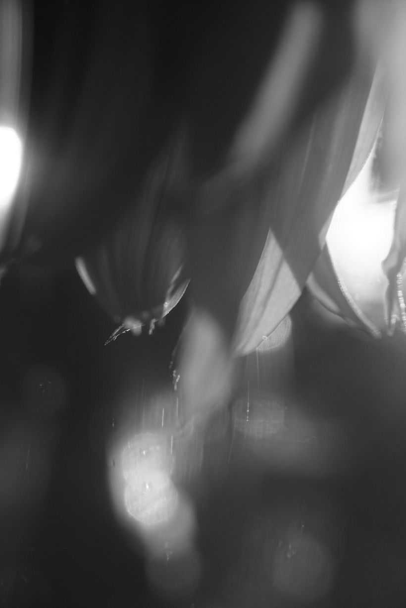 __ °Miracle°__         It´s an overview of my creative outcome. Until now, i hesitate a little bit with finding my creative voice. Outside and inside need to come together. 5