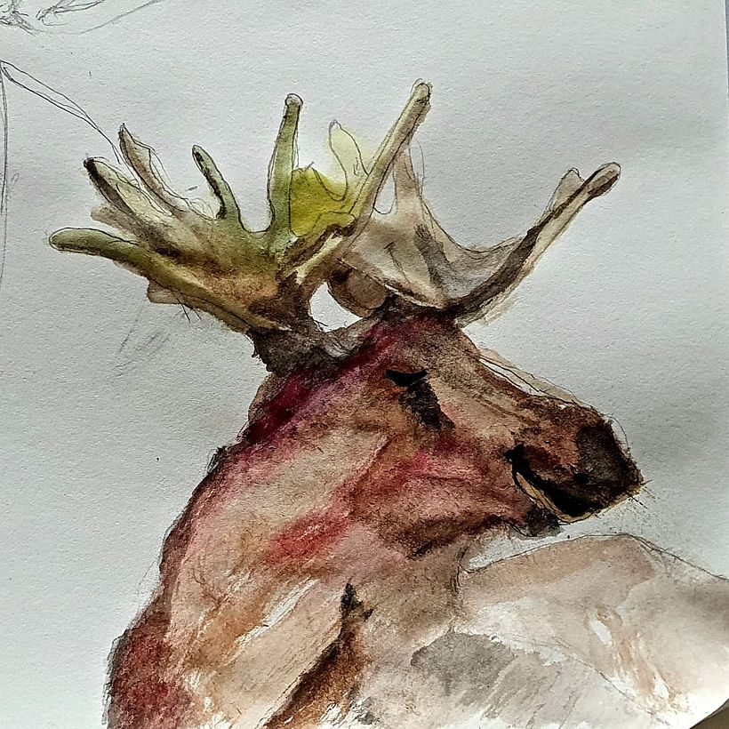 My project in Experimental Watercolor Techniques for Beginners course 5