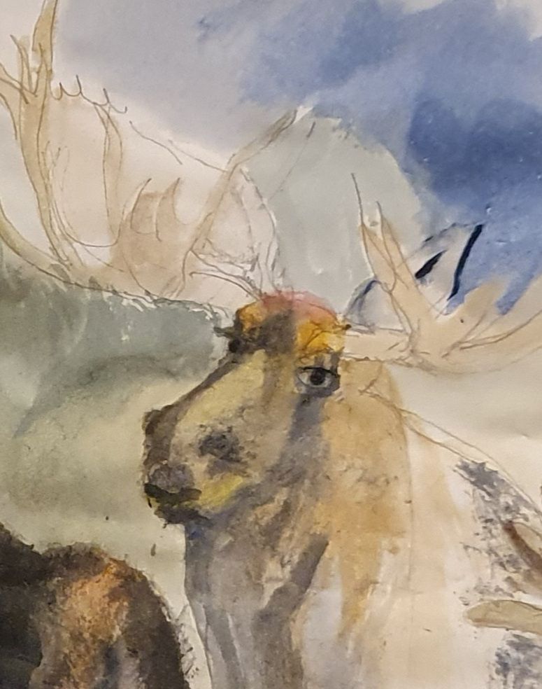 My project in Experimental Watercolor Techniques for Beginners course 6