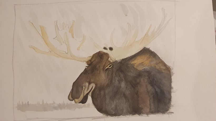 My project in Experimental Watercolor Techniques for Beginners course 9