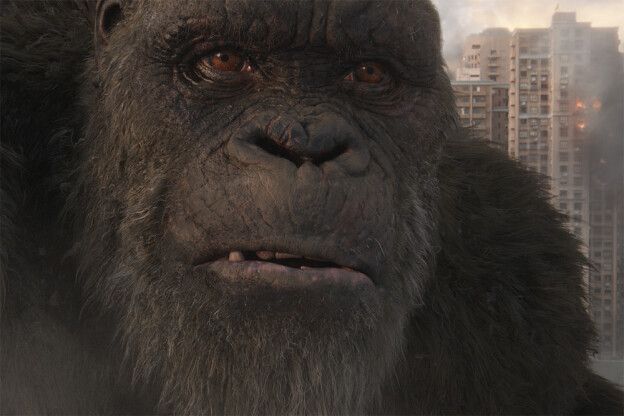 KONG  FACIAL MODELLER / GOZILLA VS KONG 1
