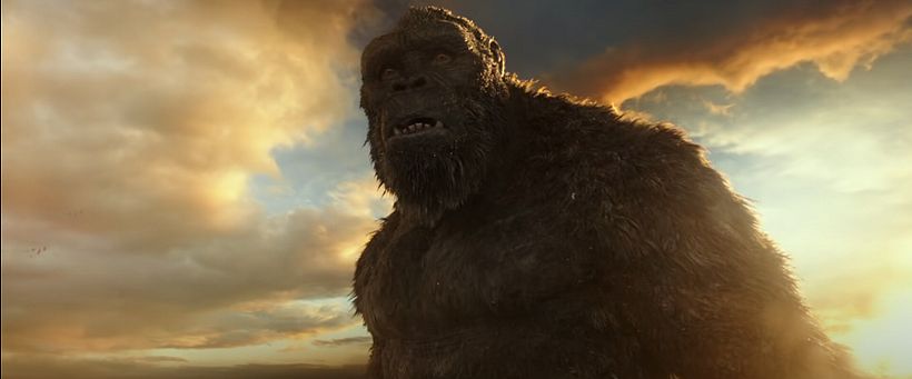 KONG  FACIAL MODELLER / GOZILLA VS KONG 3