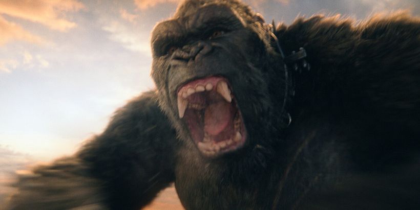 KONG  FACIAL MODELLER / GOZILLA VS KONG 7