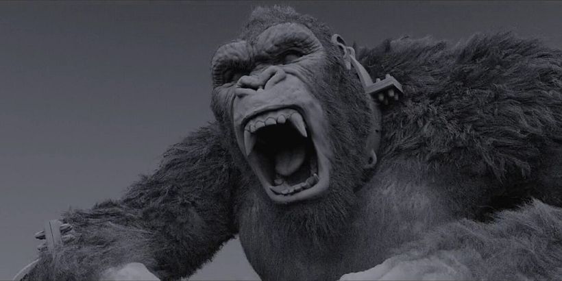 KONG  FACIAL MODELLER / GOZILLA VS KONG 8