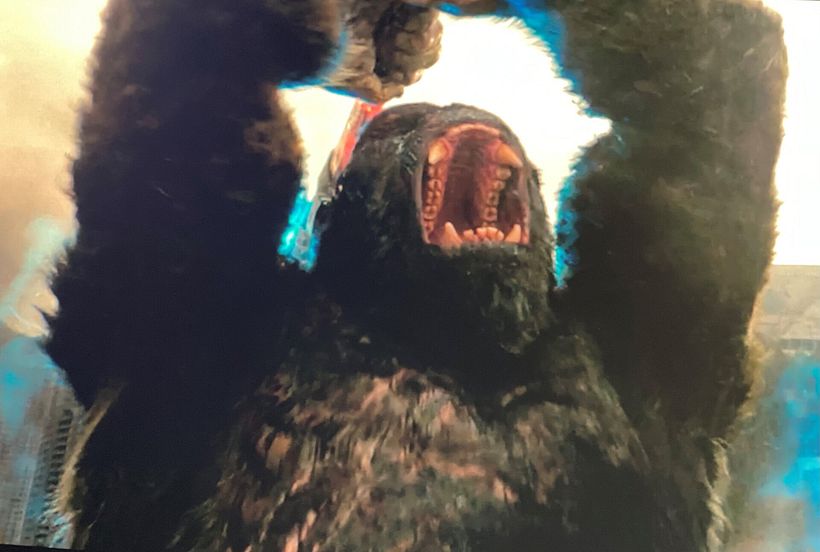 KONG  FACIAL MODELLER / GOZILLA VS KONG 9