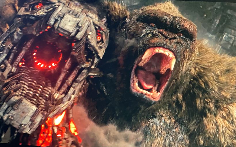 KONG  FACIAL MODELLER / GOZILLA VS KONG 10