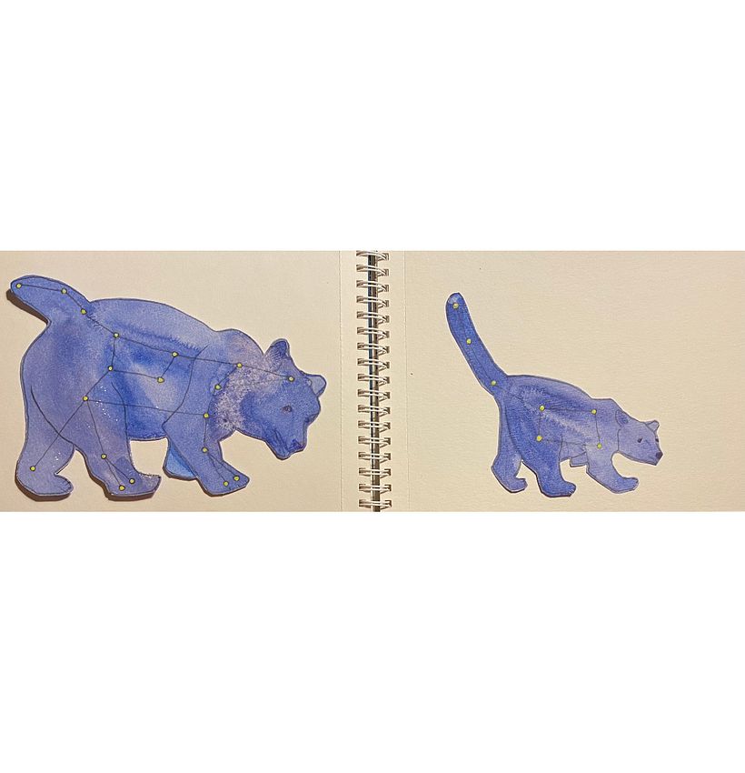 Cutting ot the bears in the night sky
