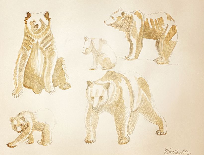 Sketching some bears
