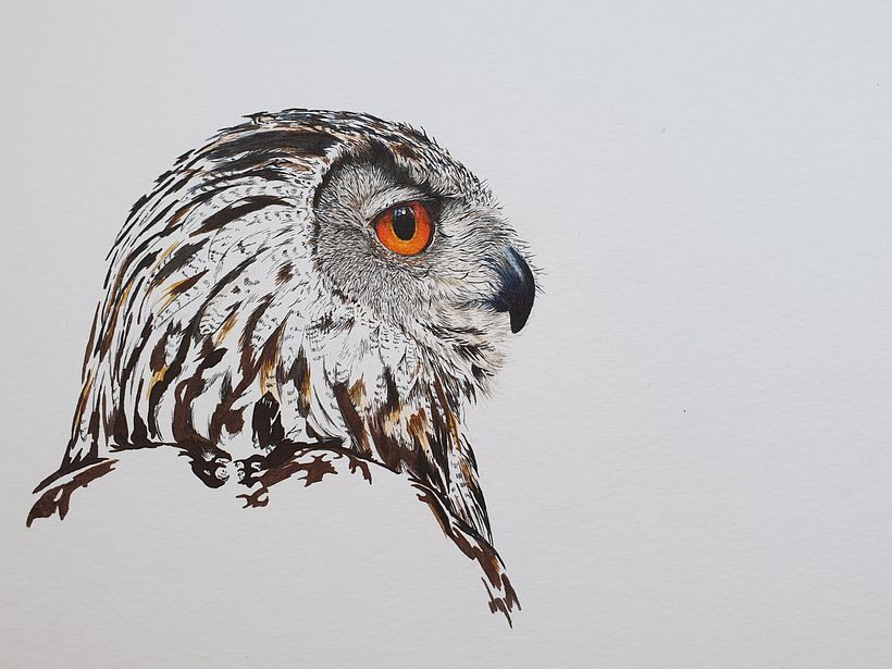 My project in Daily Sketching for Creative Inspiration course 3