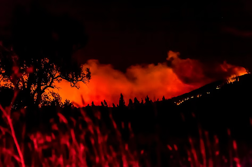 De la serie "Incendios forestales" de Fernando Lavoz. 