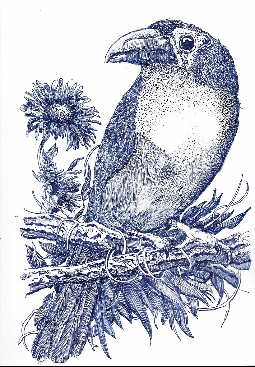 My project in Naturalist Illustration with Ballpoint Pen  course 2
