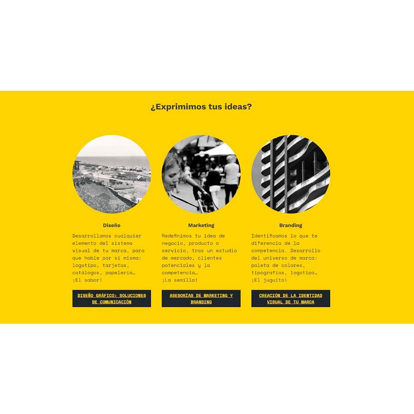 Creación de una web profesional con WordPress para Estudio de Diseño 3