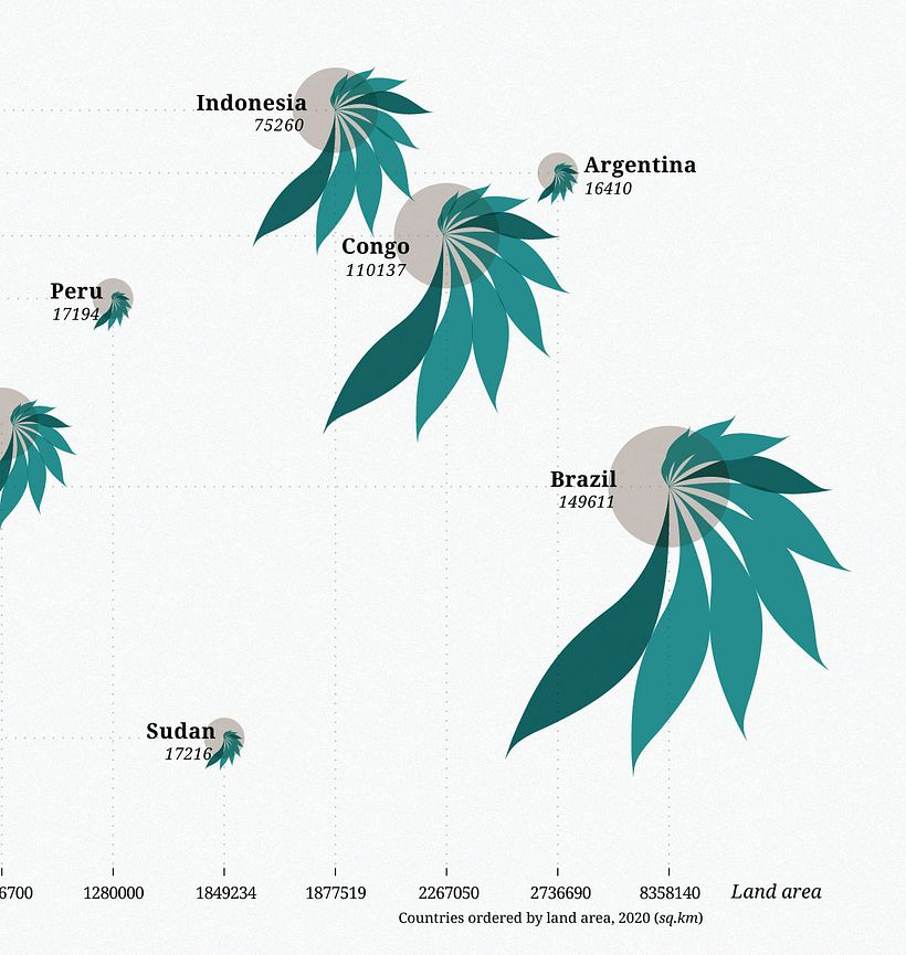 My project in Data Visualization and Information Design: Create a Visual Model course 4