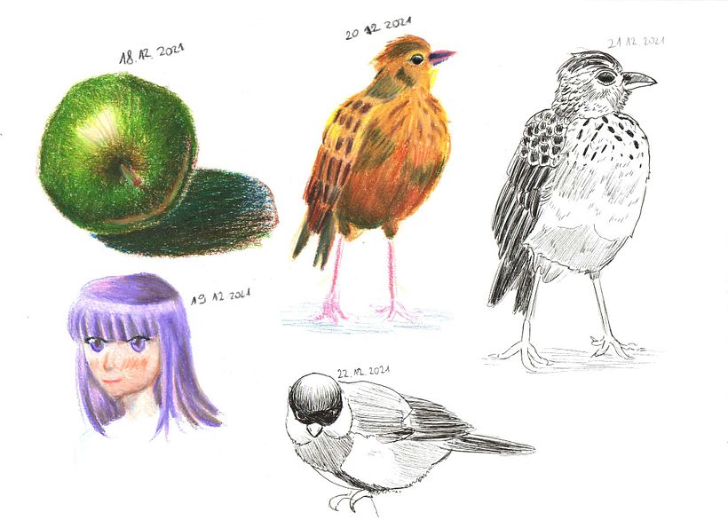 My project in Daily Sketching for Creative Inspiration course 5