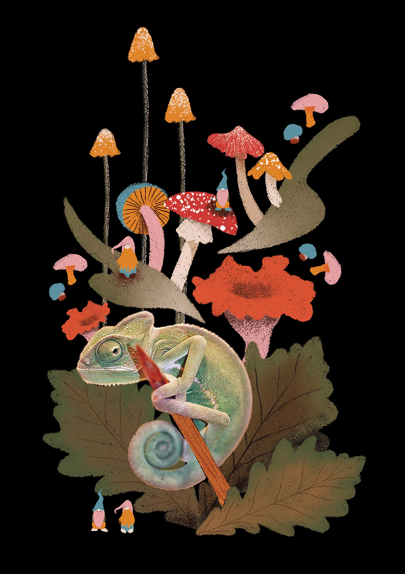 Funghi&Gnomes - projeto de Ilustração flat com Photoshop  3