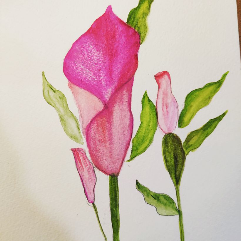 My water colour course 15