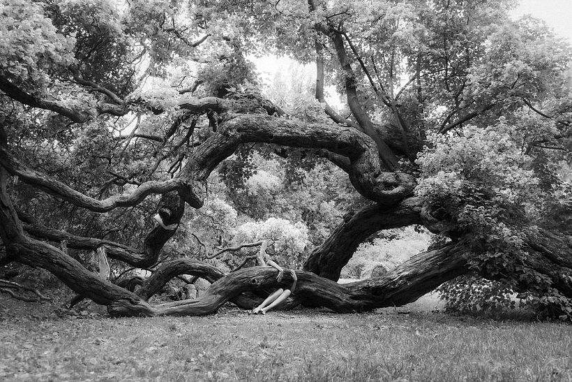 I Am The Forest - my project for the course Introduction to Narrative Photography 8