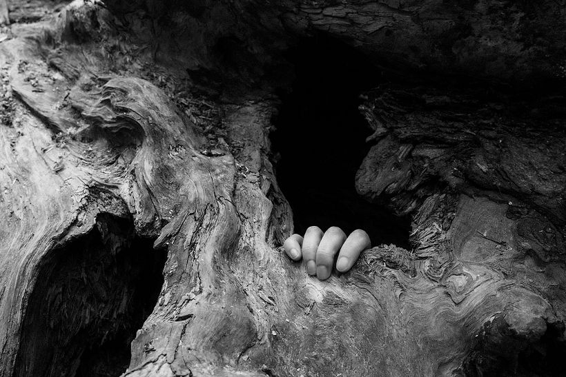 I Am The Forest - my project for the course Introduction to Narrative Photography 9