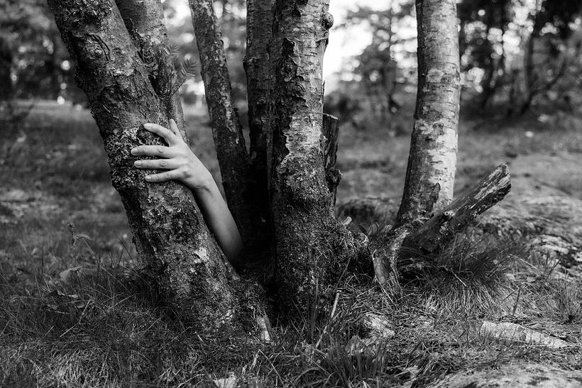 I Am The Forest - my project for the course Introduction to Narrative Photography 11