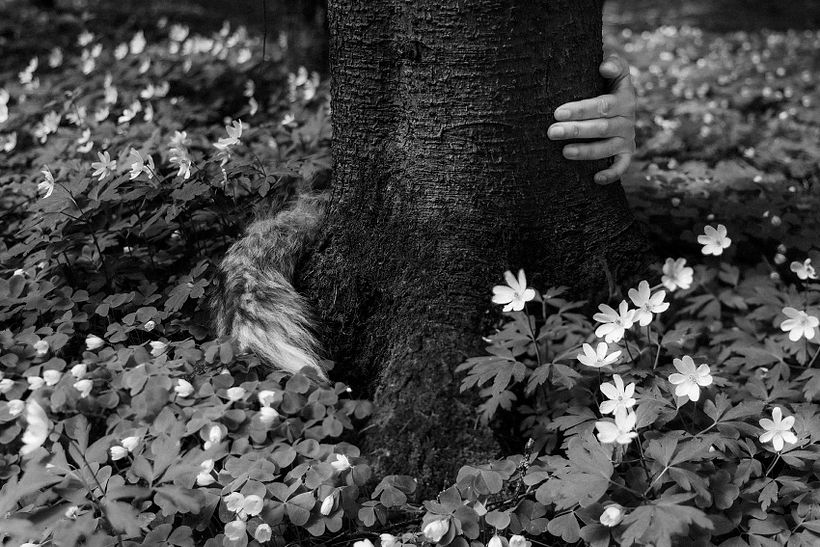 I Am The Forest - my project for the course Introduction to Narrative Photography 12