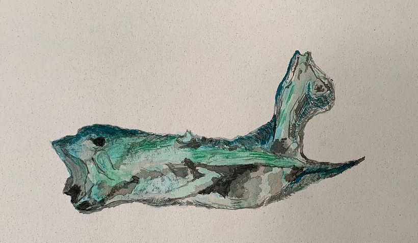 Interpretações  17