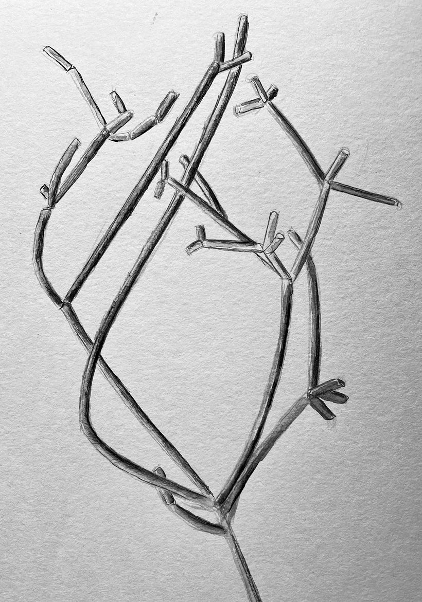 Interpretações  17