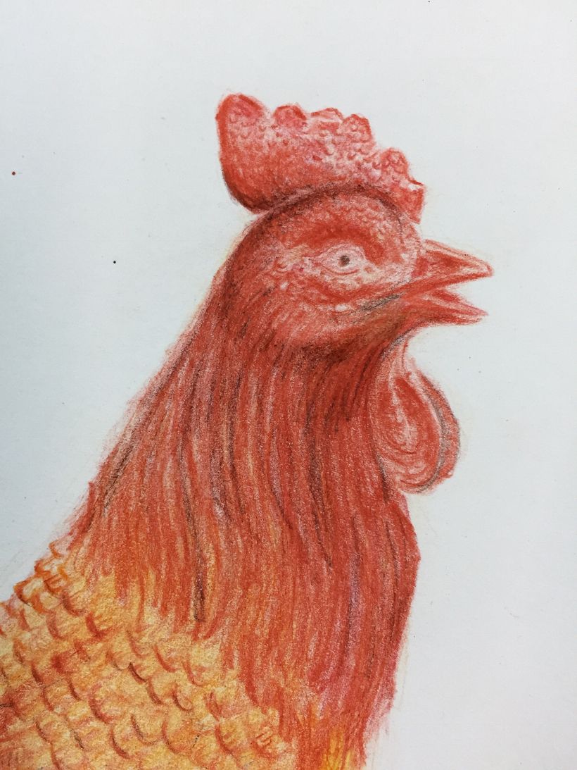 Interpretações  18