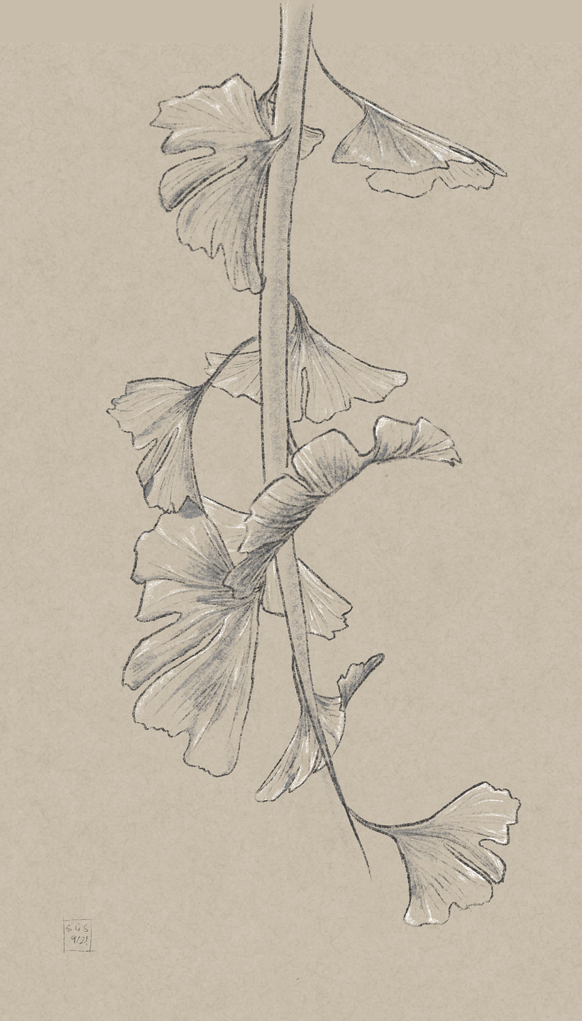 2. Ginko