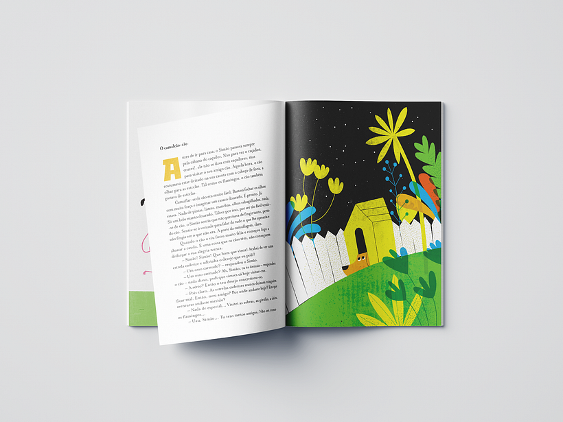 Livro - O camaleão Simão 3