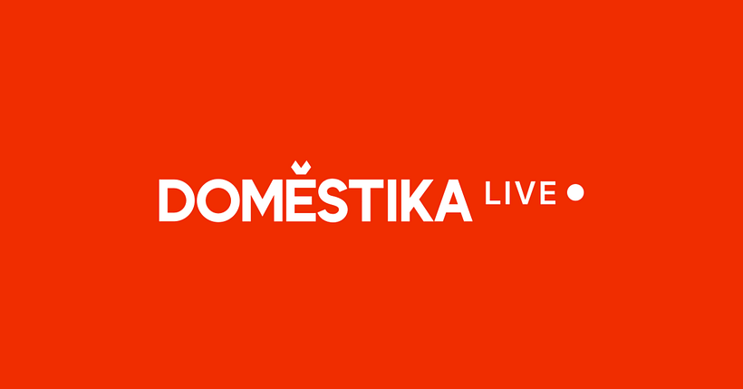 Discover the year's top Lives hosted by Domestika teachers.