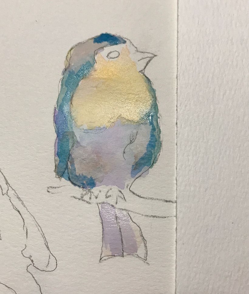 My project in Artistic Watercolor Techniques for Illustrating Birds course 7