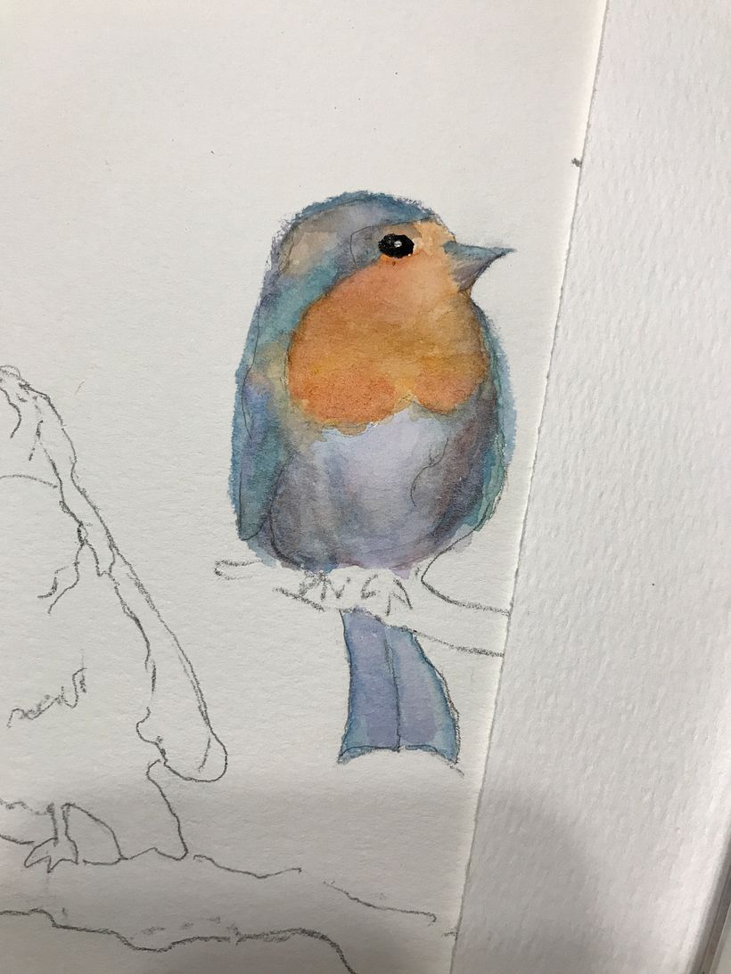 My project in Artistic Watercolor Techniques for Illustrating Birds course 6