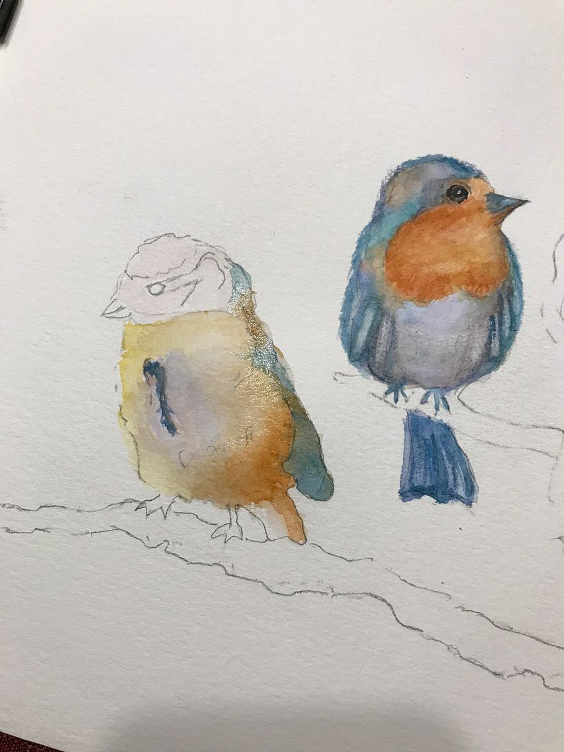 My project in Artistic Watercolor Techniques for Illustrating Birds course 5