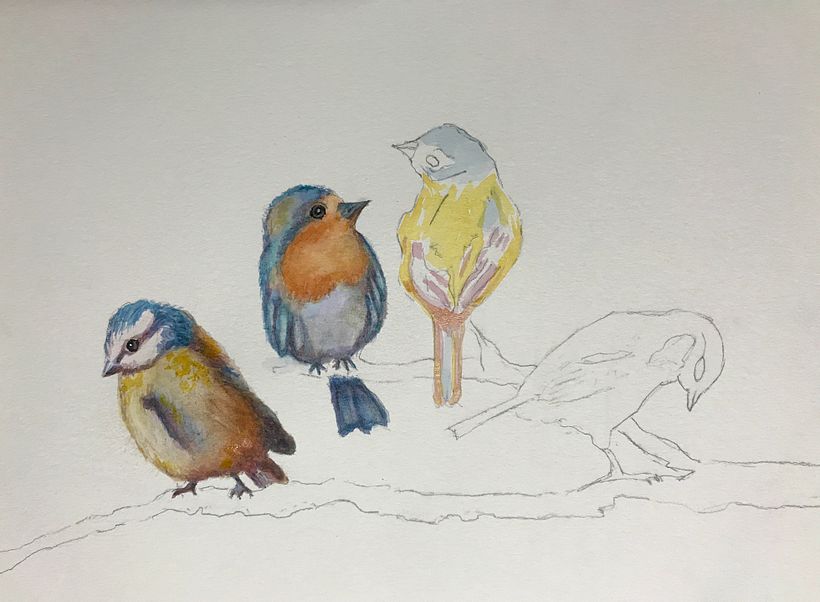 My project in Artistic Watercolor Techniques for Illustrating Birds course 4