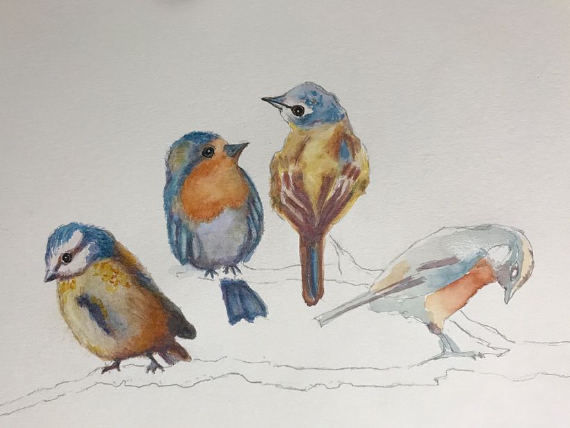 My project in Artistic Watercolor Techniques for Illustrating Birds course 2