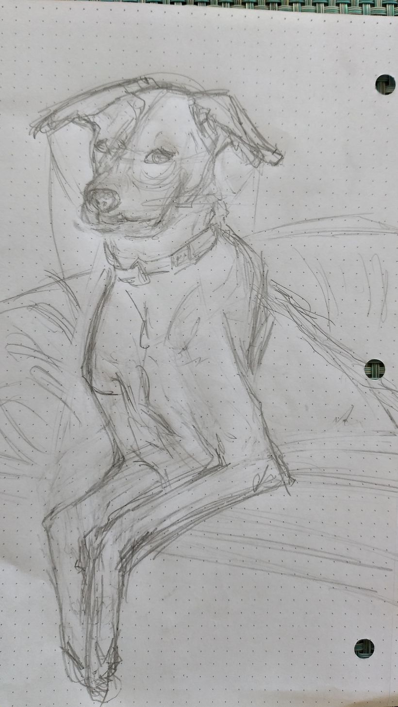 My final sketch before transferring and colours