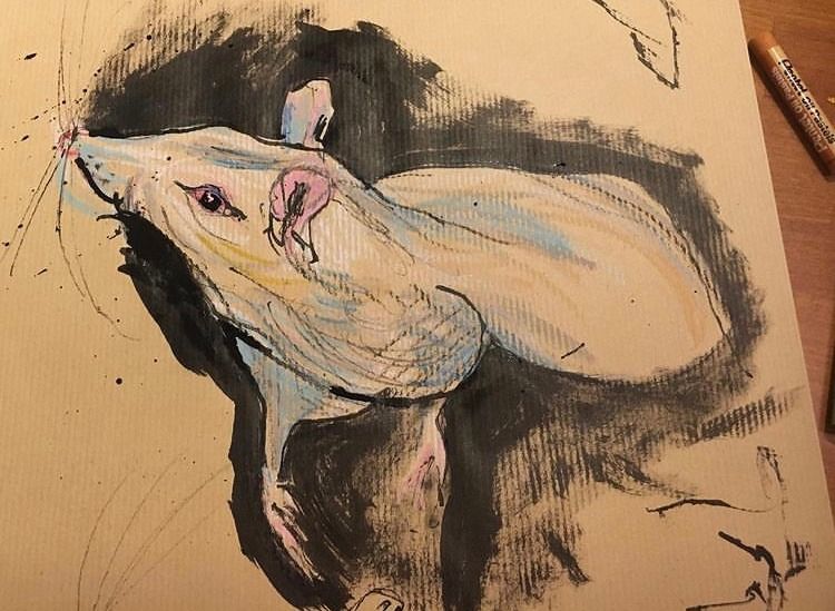 Observational Drawings 3