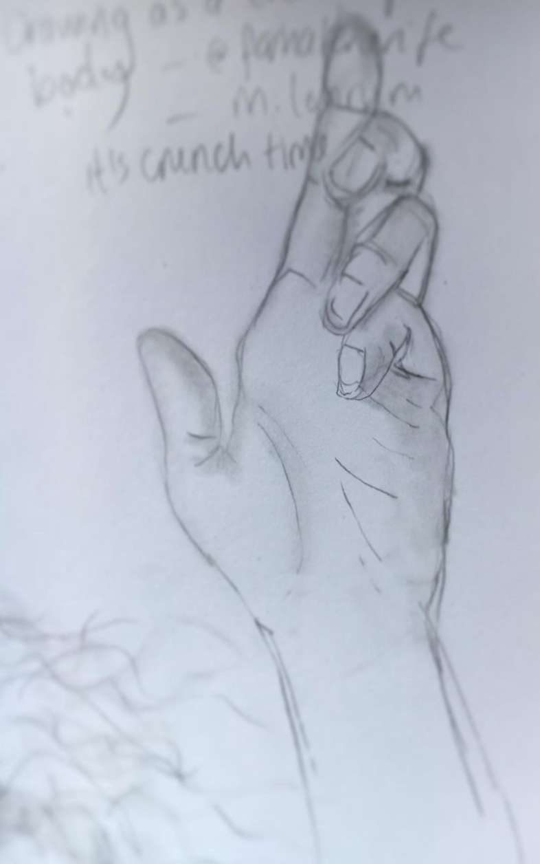 Observational Drawings 6